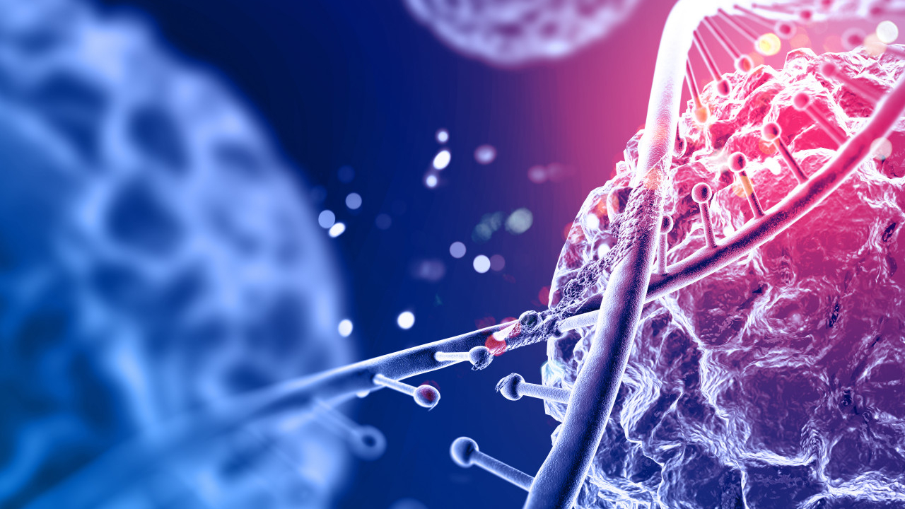 5 Mitos sobre o Câncer - Igor Morbeck Oncologista em Brasilia